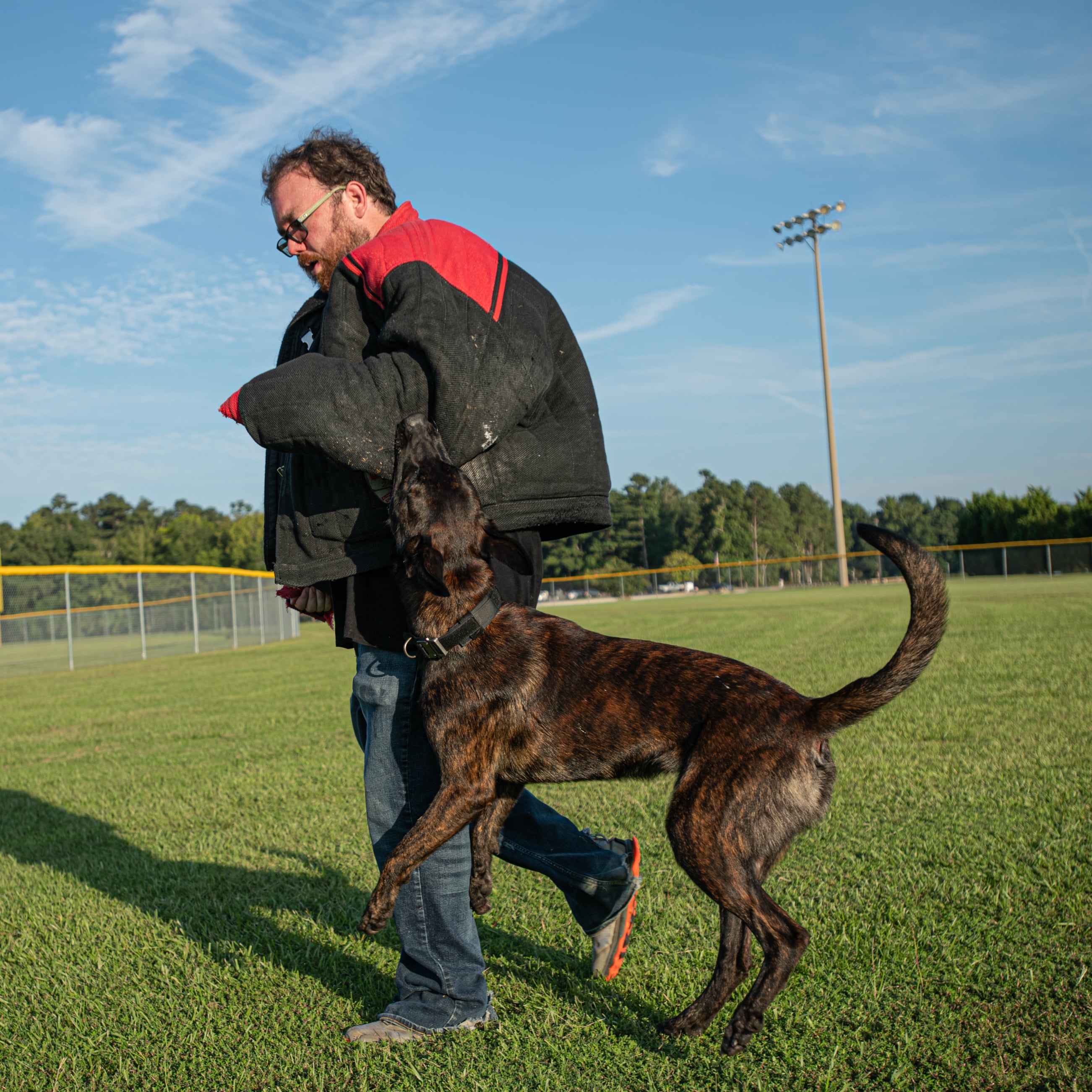 Alex Allen decoying a k9