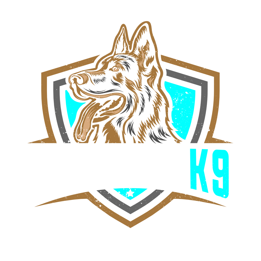 ak9 logo